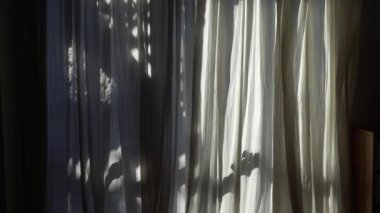 Pencerede sabah güneşi. Oturma odasındaki perdelerin gölgeleri. Yüksek kaliteli FullHD görüntüler