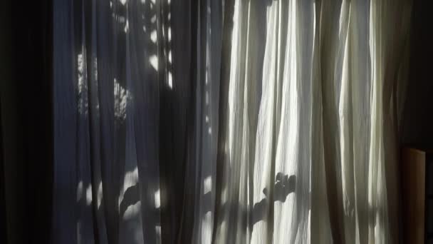 窓から朝日が差し込む リビングルームのカーテンから影 高品質のフルHd映像 — ストック動画