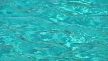 Mavi su havuzu geçmişi. Berrak turkuaz su, dalgalar ve güneş yansımaları. Yaz, rahatlama konsepti. Yüksek kaliteli FullHD görüntüler