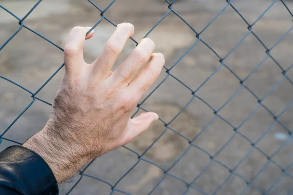 Hand Metal Fence Border Prison Illegal Migration Concept High Quality — Stock Photo, Image