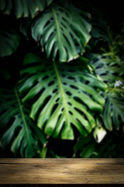Ξύλινο Τραπέζι Jungle Τοίχο Φόντο Πράσινα Τροπικά Φύλλα Φοίνικα Φύλλα — Φωτογραφία Αρχείου