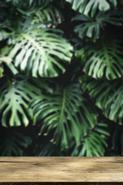 Tavolo Legno Jungle Parete Sfondo Verticale Smartphone Foglie Palma Tropicale — Foto Stock
