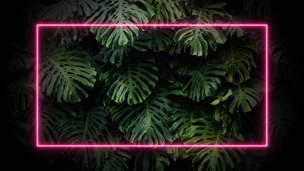 stock image Neon frame on tropical palm leaves background. 80-90, neon, jungle concept. High quality photo