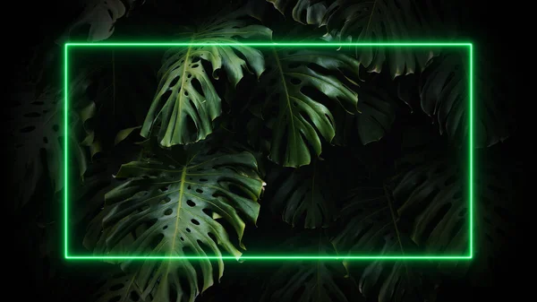 stock image Neon frame on tropical palm leaves background. 80-90, neon, jungle concept. High quality photo