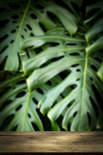 Table Bois Jungle Mur Fond Vertical Sur Smartphone Feuilles Palmier — Photo