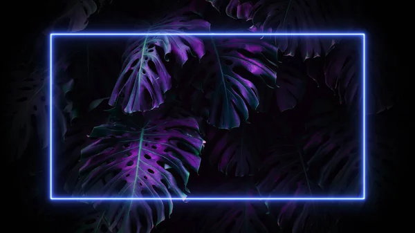 Neonový Rám Tropických Palmových Listech Pozadí Neon Koncept Džungle Kvalitní — Stock fotografie