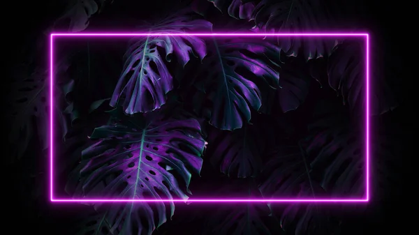 Neon Frame Tropical Palm Leaves Background Neon Jungle Concept High — Stock Photo, Image