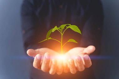 Küresel ESG teknoloji kavramı. Ampul ve holografik düğme. Çevre, Sosyal ve Kurumsal Yönetim fikri. Yüksek kalite fotoğraf