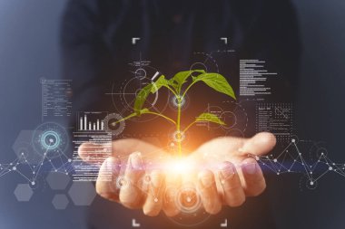 Bitki yetiştirmek için tarım teknolojileri ve doğanın biyoloji ve kimyası alanında bilimsel araştırmalar. Bir çiftçinin ellerinde yaşayan yeşil bir filiz. Organik dijital arkaplan. Yüksek