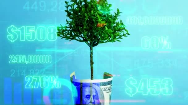 Crescita Denaro Profitto Dollaro Economico Business Concetto Investimento Filmati Alta — Video Stock