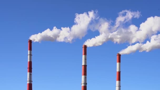 Enerji Fabrikası Endüstrisi Buharlı Boru Santrali Termal Isıtma Istasyonu Yüksek — Stok video