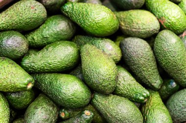 Süpermarkette avokado. Çiftlikte yeşil, olgun avokado arka planı. Meyve ve sebze endüstrisi, vejetaryen yiyecekler. Yüksek kalite fotoğraf