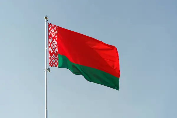 stock image Flag of Belarus. National flag of the Republic of Belarus Minsk. Politics, Culture. High quality photo