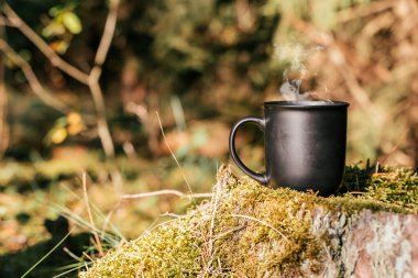 Ormanda, doğada bir fincan sıcak içecek. Yüksek kalite fotoğraf
