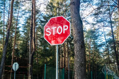 Orman sınırında kırmızı dur işareti. Yüksek kalite fotoğraf