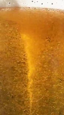 Bira baloncukları altın kaplama. Bardakta bira. Dikey video. Yüksek kaliteli FullHD görüntüler
