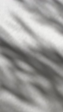 Yaprakların gölgesi. Beyaz duvardaki güneş ve gölgeler. Dikey video. Yüksek kaliteli FullHD görüntüler