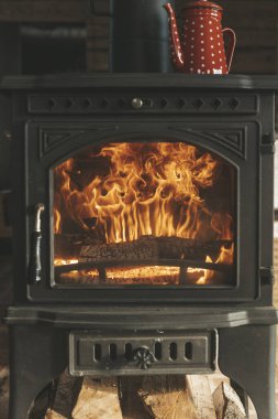 Ocağında odun olan ateş. Ev sıcaklığında. Yüksek kalite fotoğraf