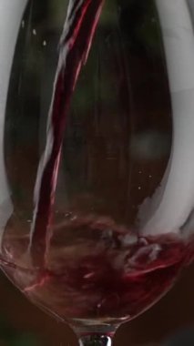 Şarap kadehi. Kırmızı şarap tatmak ve içmek. Dikey video. Yüksek kaliteli FullHD görüntüler