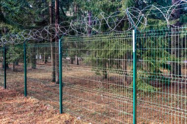 Ormanda sınırdaki dikenli teller. Yüksek kalite fotoğraf