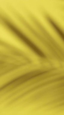 Gölge palmiye yaprağı arka planı. Tropik yaz renklerinde dikey arka plan. - Evet. Yüksek kaliteli FullHD görüntüler