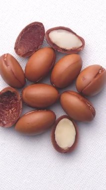 Beyaz arka planda dönen Argan fındıkları. Yüksek kaliteli FullHD görüntüler