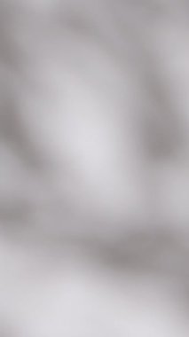 Gölge yaprakları. Beyaz duvarda yaz gölgeleri ve güneş ışıkları. Yüksek kaliteli FullHD görüntüler