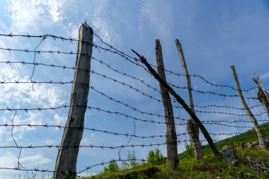 Eski dikenli teller, doğada bir çayırda ahşap direkler. Yüksek kalite fotoğraf