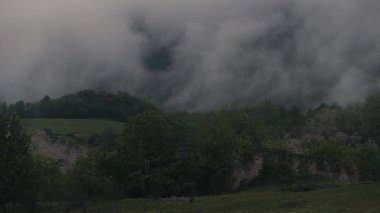 Yağmurlu bir günde, dumanlı, yemyeşil, ormanlık tepelerde yavaşça yükselen sisli ve dumanlı sinemalar. Sis, ağaçların arasında yavaşça süzülerek karamsar ve atmosferik bir manzara yaratır. Mükemmel.