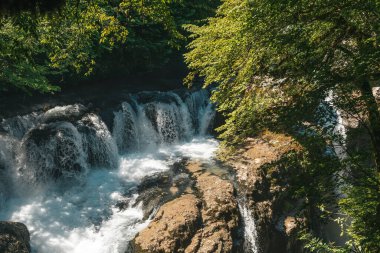 Şelale yemyeşil. Şelaleli doğal manzara. Yüksek kalite fotoğraf