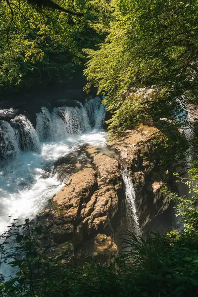 Şelale yemyeşil. Şelaleli doğal manzara. Yüksek kalite fotoğraf