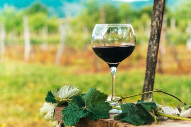 Bir bardak kırmızı şarap, güneşli üzüm bağları ve sakin kırsal bir araziye karşı zarif bir şekilde kurulmuş, Fransız ya da İtalyan kırsallarının cazibesini çağrıştırıyor. Sahne ruhun özünü yakalar.