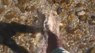 Yürüyen POV 'un, kayalık bir nehir yatağıyla bir dağ deresinin sığ, kristal berrak sularında yürüyen çıplak ayak görüntüsü. Güneş ışığı yüzeyden yansıyarak, su gibi ışıl ışıl parlaklıklar yaratır.