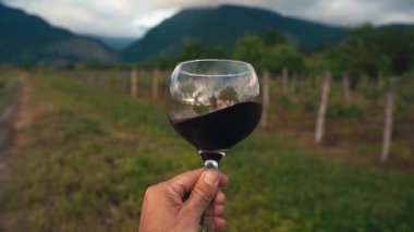 Bir el, bir bardak kırmızı şarabı güneşli bir üzüm bağının manzaralı zemininde tutuyor. Bu canlı yaz sahnesi kırsal kesimde şarap kültürünün zarafetini ve eğlencesini yansıtıyor. Mükemmel.