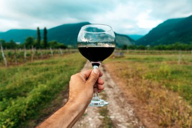 Bir el, bir bardak kırmızı şarabı güneşli bir üzüm bağının manzaralı zemininde tutuyor. Bu canlı yaz sahnesi kırsal kesimde şarap kültürünün zarafetini ve eğlencesini yansıtıyor. Mükemmel.