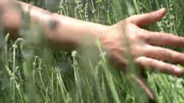 Kadınlar, tarlada çiçek açan lavanta bitkilerinin üzerinde yavaşça süzülüyorlar. Hareket yavaş ve sakinleştirici, doğayla duyusal bağlantıyı vurguluyor. Güzel kokulu, huzurlu bir an.