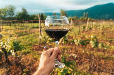 Bir el, bir bardak kırmızı şarabı güneşli bir üzüm bağının manzaralı zemininde tutuyor. Bu canlı yaz sahnesi kırsal kesimde şarap kültürünün zarafetini ve eğlencesini yansıtıyor. Mükemmel.