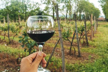 Bir el, bir bardak kırmızı şarabı güneşli bir üzüm bağının manzaralı zemininde tutuyor. Bu canlı yaz sahnesi kırsal kesimde şarap kültürünün zarafetini ve eğlencesini yansıtıyor. Mükemmel.