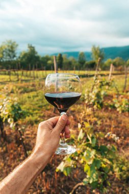 Bir el, bir bardak kırmızı şarabı güneşli bir üzüm bağının manzaralı zemininde tutuyor. Bu canlı yaz sahnesi kırsal kesimde şarap kültürünün zarafetini ve eğlencesini yansıtıyor. Mükemmel.