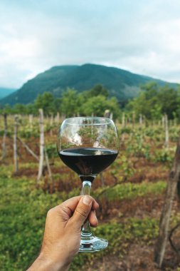 Bir el, bir bardak kırmızı şarabı güneşli bir üzüm bağının manzaralı zemininde tutuyor. Bu canlı yaz sahnesi kırsal kesimde şarap kültürünün zarafetini ve eğlencesini yansıtıyor. Mükemmel.