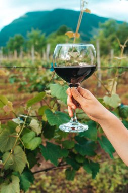 Bir el, bir bardak kırmızı şarabı güneşli bir üzüm bağının manzaralı zemininde tutuyor. Bu canlı yaz sahnesi kırsal kesimde şarap kültürünün zarafetini ve eğlencesini yansıtıyor. Mükemmel.