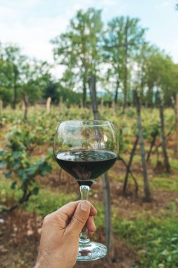 Bir el, bir bardak kırmızı şarabı güneşli bir üzüm bağının manzaralı zemininde tutuyor. Bu canlı yaz sahnesi kırsal kesimde şarap kültürünün zarafetini ve eğlencesini yansıtıyor. Mükemmel.
