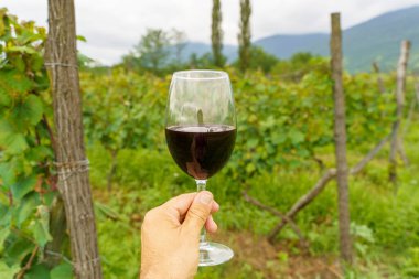 Bir el, bir bardak kırmızı şarabı güneşli bir üzüm bağının manzaralı zemininde tutuyor. Bu canlı yaz sahnesi kırsal kesimde şarap kültürünün zarafetini ve eğlencesini yansıtıyor. Mükemmel.