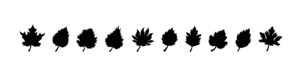Leaf Icons Set Leaf Ecology Nature Element Vector Isolated White — Διανυσματικό Αρχείο