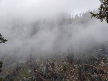 Kashmir, India - April 14th, 2021 : Beautiful landscape of Kashmir in himalayas.