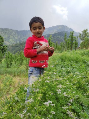 Himachal, India - June 6th, 2022 : Portrait of young Himalayan boy, kid in mountains