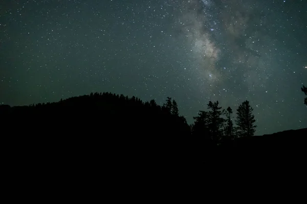 Himachal, India - June 4th, 2022 : A beautiful milkyway shot in jungle