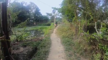 Yeşilliklerle dolu bir göl kenarında küçük bir patikada yürüyorum. Assam.