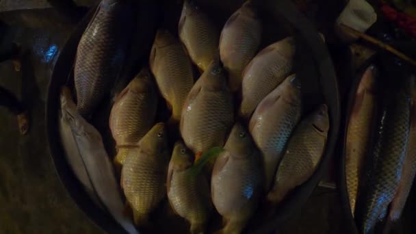 Пакет Продаж Рыбы Рынке Ima Манипур — стоковое видео