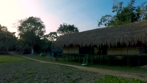 Bamboo House Huts Field Mustard Majuli India — Stock Video